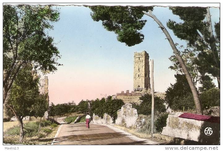 TLEMCEN  LES RUINES DE MANSOURAH