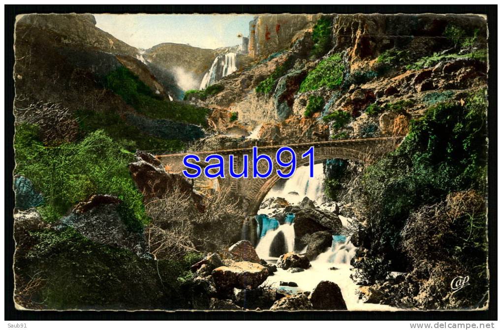 Tlemcen -  Les Cascades de l'Oued Méfrouch El Ourit -  Réf  24078