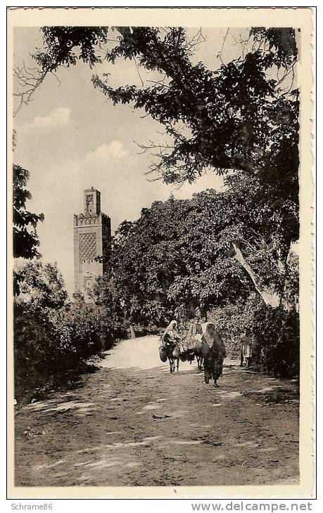 Tlemcen-Minaret dans la verdure