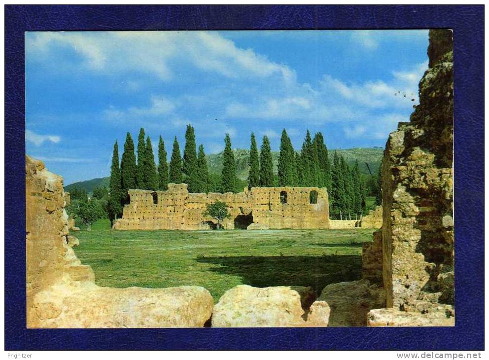 ALGERIE / ALGERIEN  Tlemcen  Vestiges de Mansourah