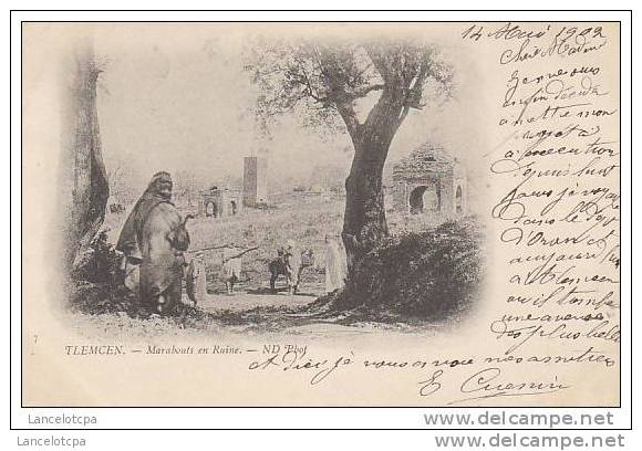 ALGERIE - TLEMCEN / MARABOUTS EN RUINE