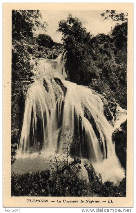 ALGERIE TLEMCEN - La cascade de Négrier