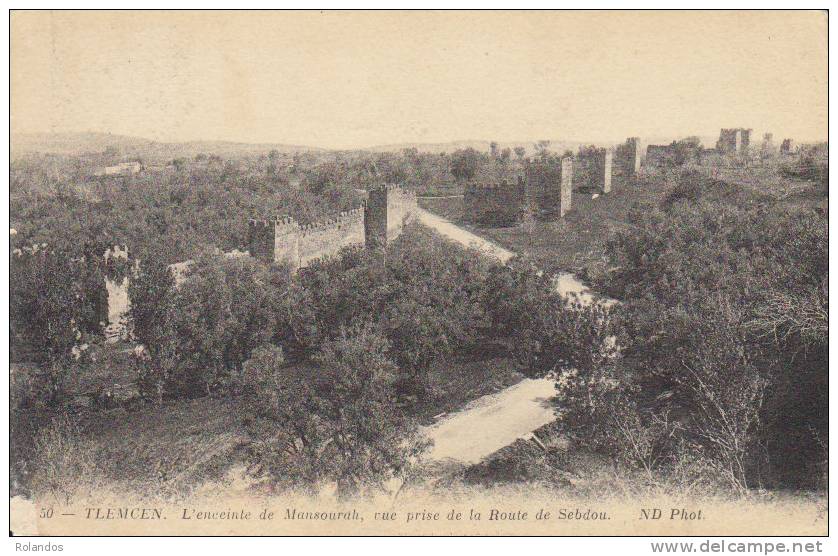 TLEMCEN L'enceinte de Mansourah, vue prise de la Route de Sebdou