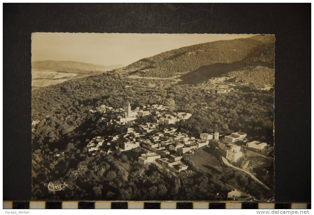 TLEMCEN ORAN VUE GENERALE AERIENNE SUR SIDI BOU MEDINE