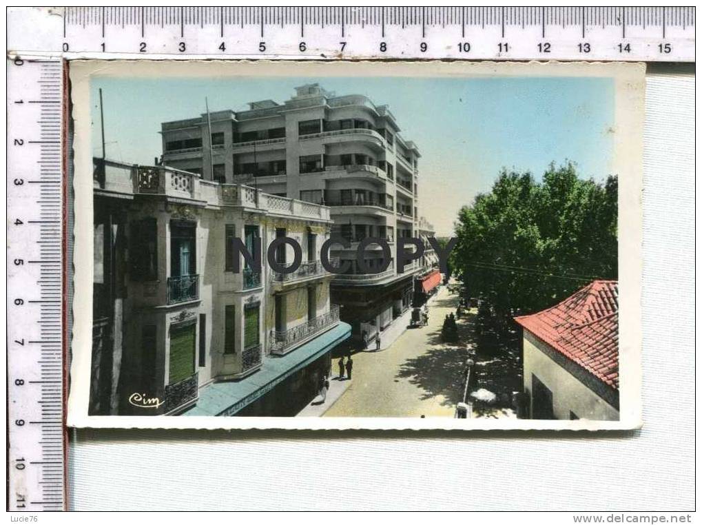 TLEMCEN - Constructions modernes - Place d'Alger