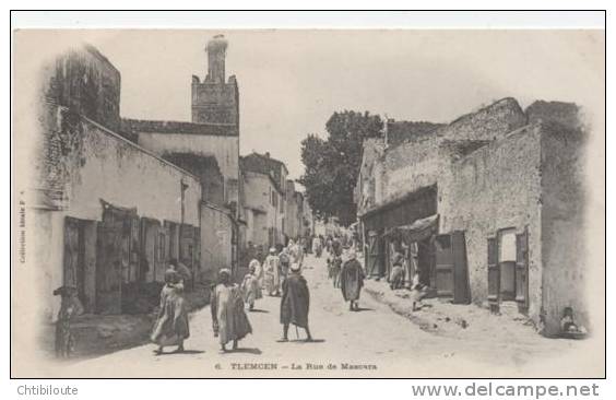 AFRIQUE  /  ALGERIE  /  TLEMCEN   