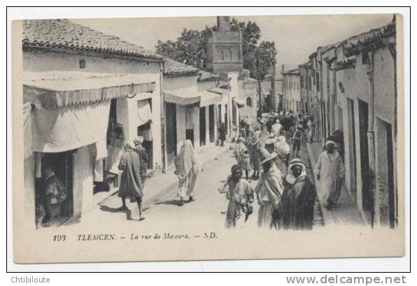 AFRIQUE  /  ALGERIE  /  TLEMCEN   