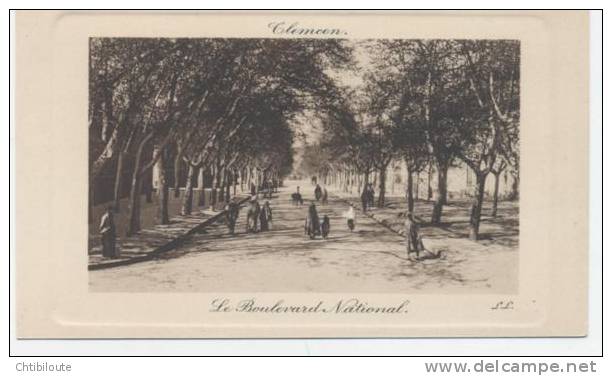 AFRIQUE  /  ALGERIE  /  TLEMCEN   