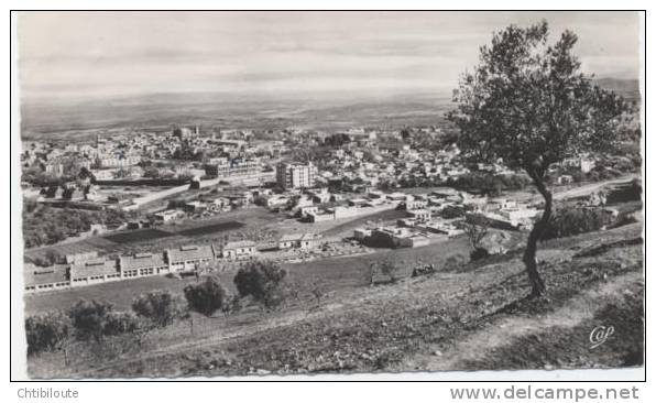 AFRIQUE  /  ALGERIE  /  TLEMCEN   