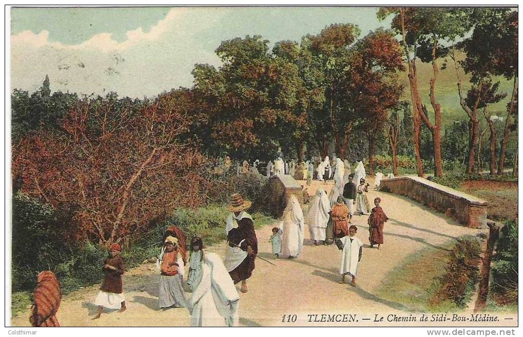 TLEMCEN LE CHEMIN DE SIDI BOU MEDINE