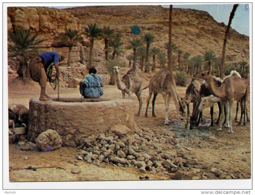 ALGERIE  puits dans le sud Saharien  éditions RE AR Tlemcen