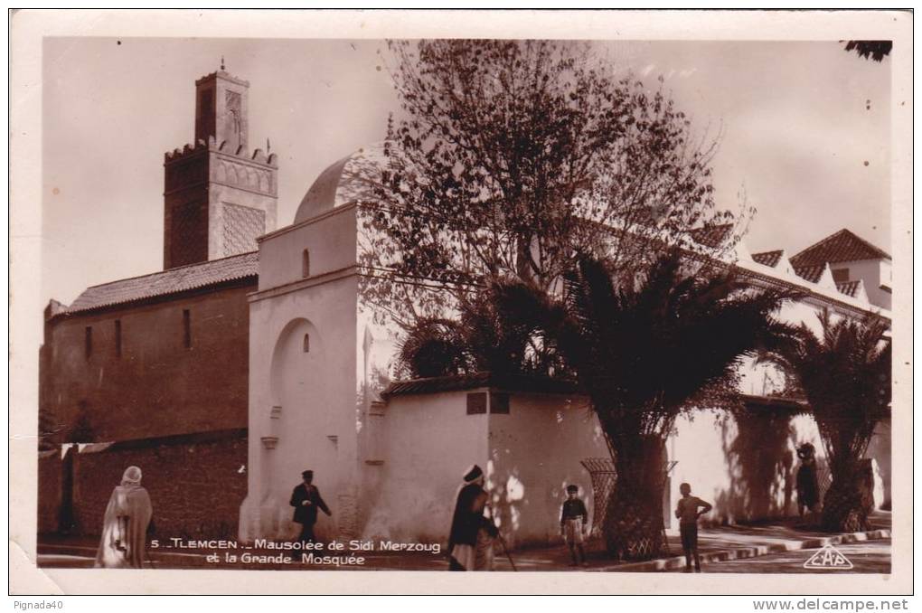 cp , ALGÉRIE , TLEMCEN , Mausolée de Sidi Merzoug et la Grande Mosquée