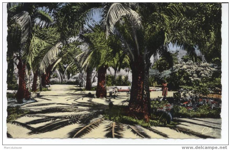 Tlemcen. Le jardin public.