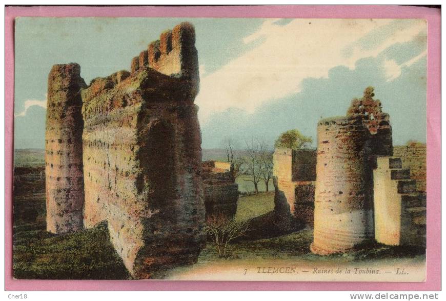7 Tlemcen ruines de la Toubina Ecrite