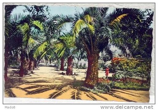 cpsm Tlemcen Algérie  animée - le Jardin Public -