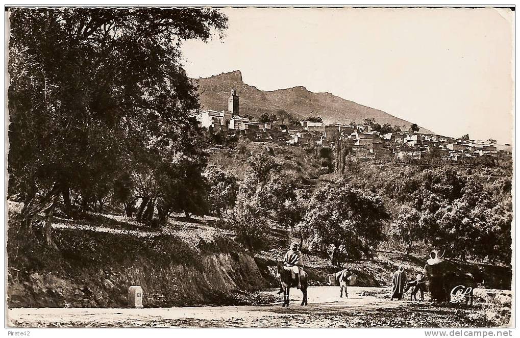 TLEMCEN SIDI BOU MEDINE