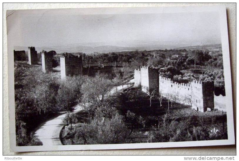 Algérie - CP N° R347 - Tlemcen - CPSM/E