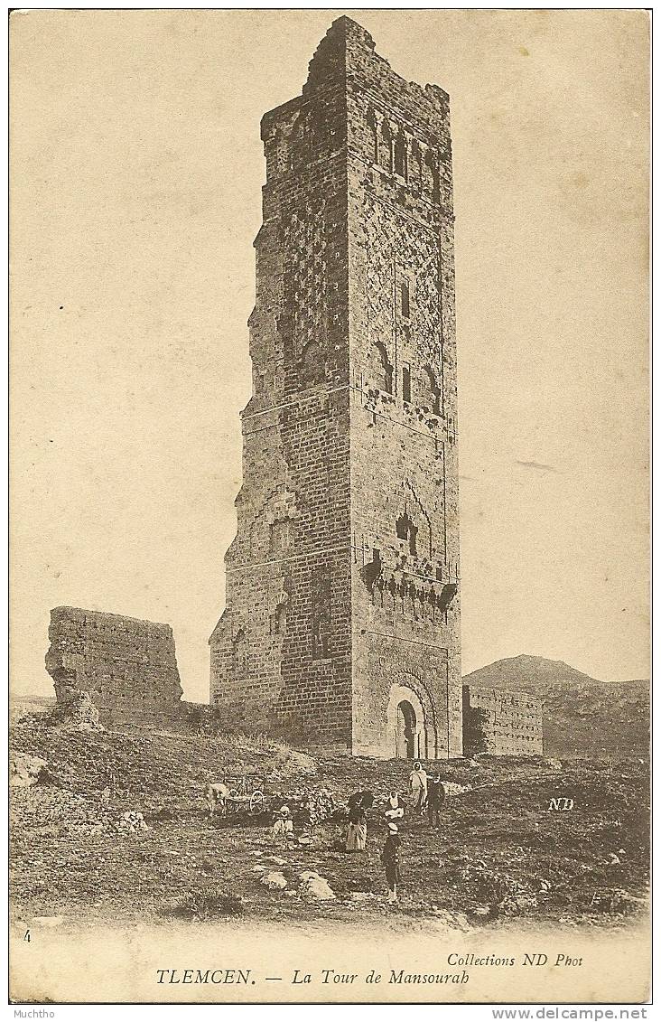 Algerie - TLEMCEN la tour de mansourab