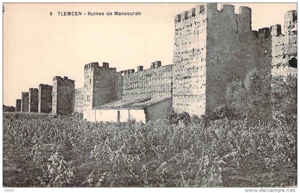 CPA   Tlemcen Ruines de Mansourah   D686