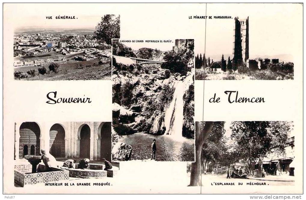 CPSM (format cpa)   Souvenir de Tlemcen    (animée)   D465