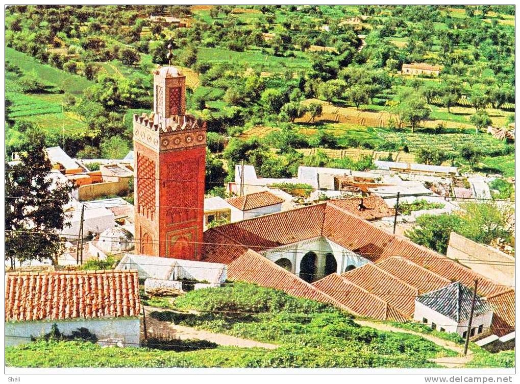 CPSM TLEMCEM MOSQUEE DE SIDI EL HALOUI