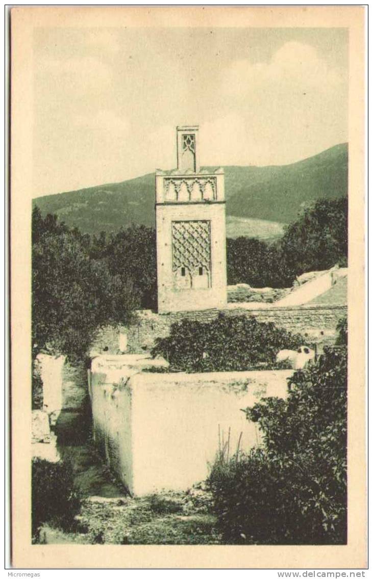 ALGERIE - Mosquée de Sidi-Lahssen à TLEMCEN