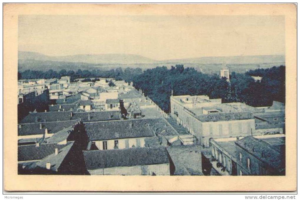 ALGERIE - TLEMCEN - Panorama pris de la Mosquée