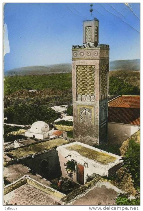 ALGERIE TLEMCEN Minaret de Sidi Lhaloui Cpsm