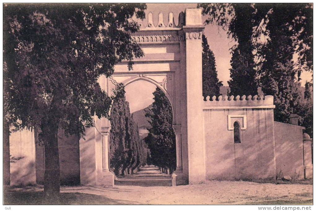 Afrique > Algérie -Tlemcen - Entrée du cimetière Musulman (- Editions   Serehen Tlemcen  n°93)*PRIX FIXE