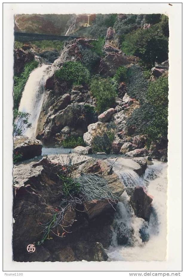 ALGERIE  tlemcen   ( recto verso )