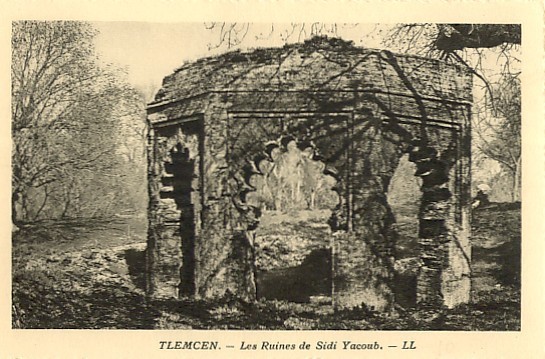 CPA - Tlemcen - Les ruines de Sidi Yacoub
