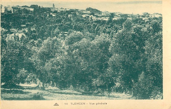 CPA - Tlemcen - Vue générale