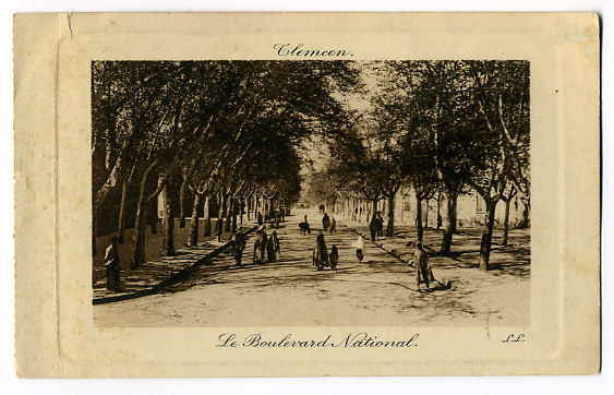 Tlemcen Le boulevard national