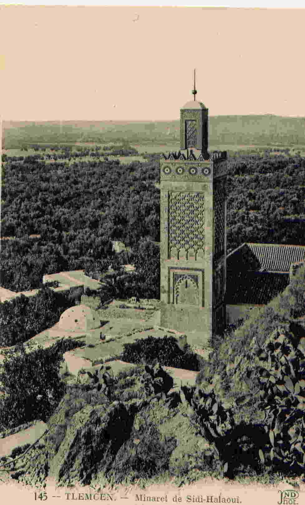 145 - TLEMCEN - Minaret de Sidi-Halaoui   ND Phot