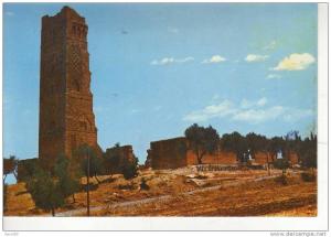 ALGERIE TLEMCEN Le Minaret de Mansourah cpm couleur