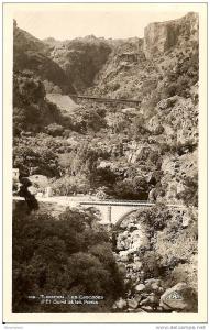 CPA - ALGERIE - TLEMCEN - Les cascades D'El Ourid et les ponts
