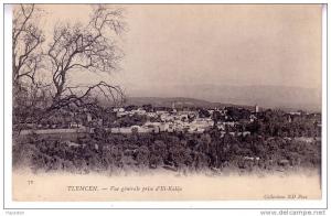 TLEMCEN - VUE GENERALE