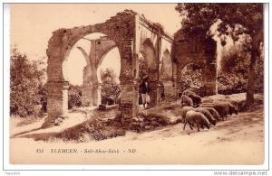 TLEMCEN - SIDI ABOU ISLAK
