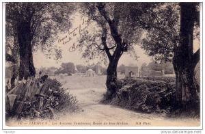 TLEMCEN - LES ANCIENS TOMBEAUX ROUTE DE BOU MEDINE