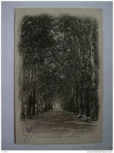 SIDI BEL ABBES MOSQUEE