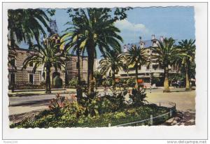 sidi bel abbes l' hôtel de ville