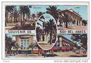 Postcard - Sidi Bel Abbes  (552)