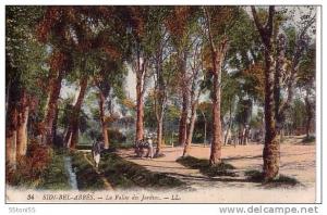 Sidi Bel Abbes    Old Post card