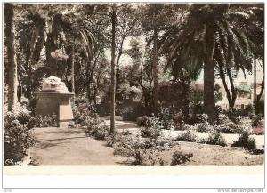 CPSM 9X14 .  SIDI BEL ABBES . STATUE  LA CHUTE D' ICARE