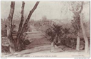 Sidi-Bel-Abbès.L'Avenue de la Vallée-des-Jardins.1906
