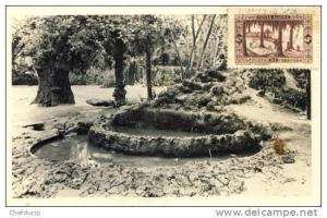 SIDI BEL ABBES   le Jardin public   édition photos africaines trés bon état (petite tache ) cp pour Oran