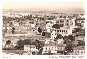 SIDI BEL ABBES ALGERIE 1950 ED CAP 83 ECRITE LEGER FAUX PLI COIN