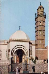 CPSM - SIDI-BEL-ABBES , La Mosquée