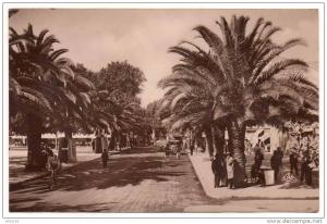 SIDI BEL ABBES    BOULEVARD DE LA REPUBLIQUE