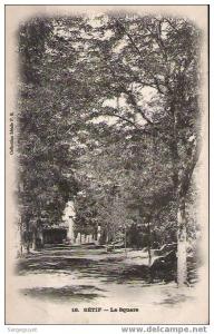Sétif  le square - (c1095)